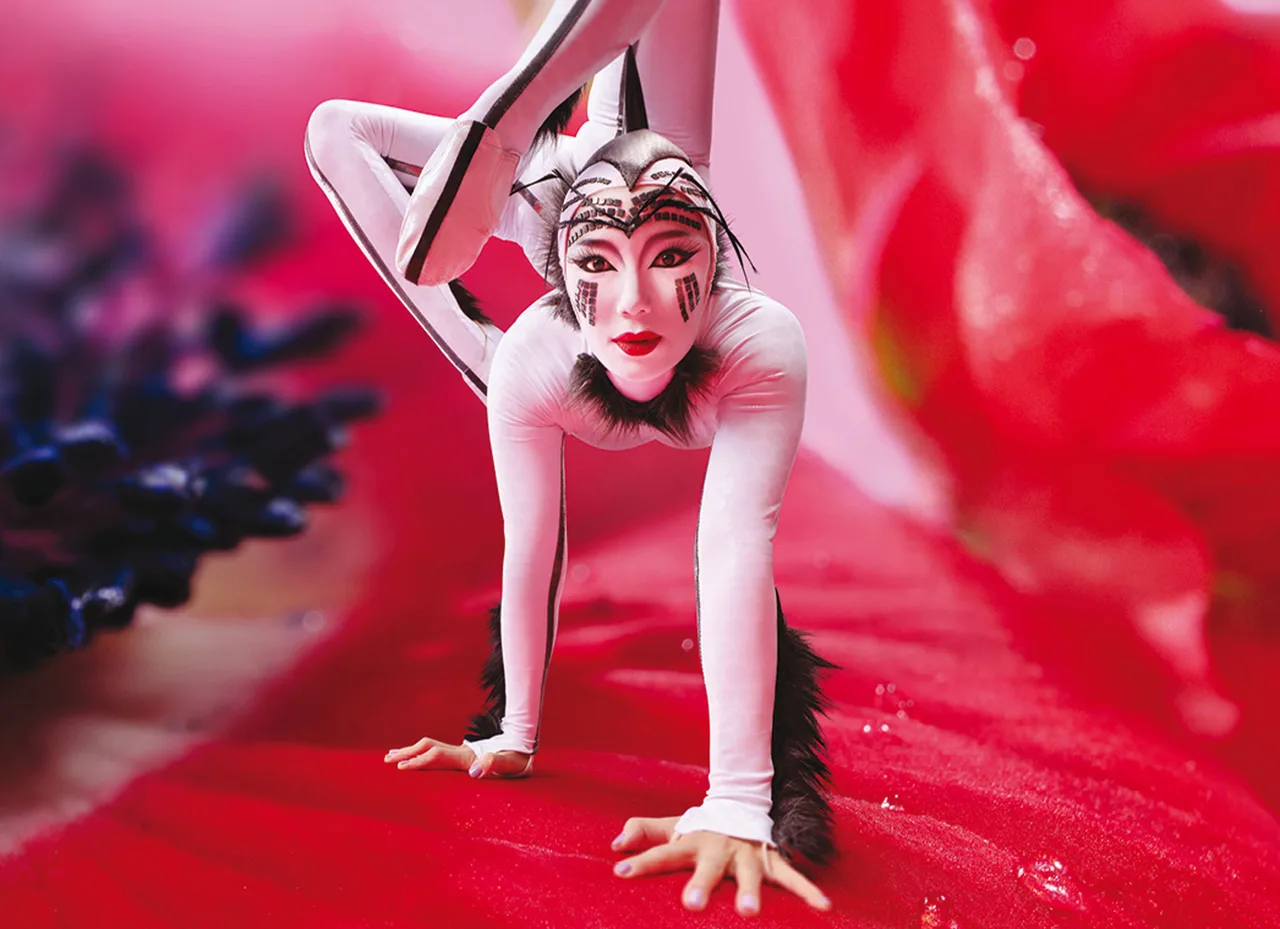 Cirque du Soleil - OVO